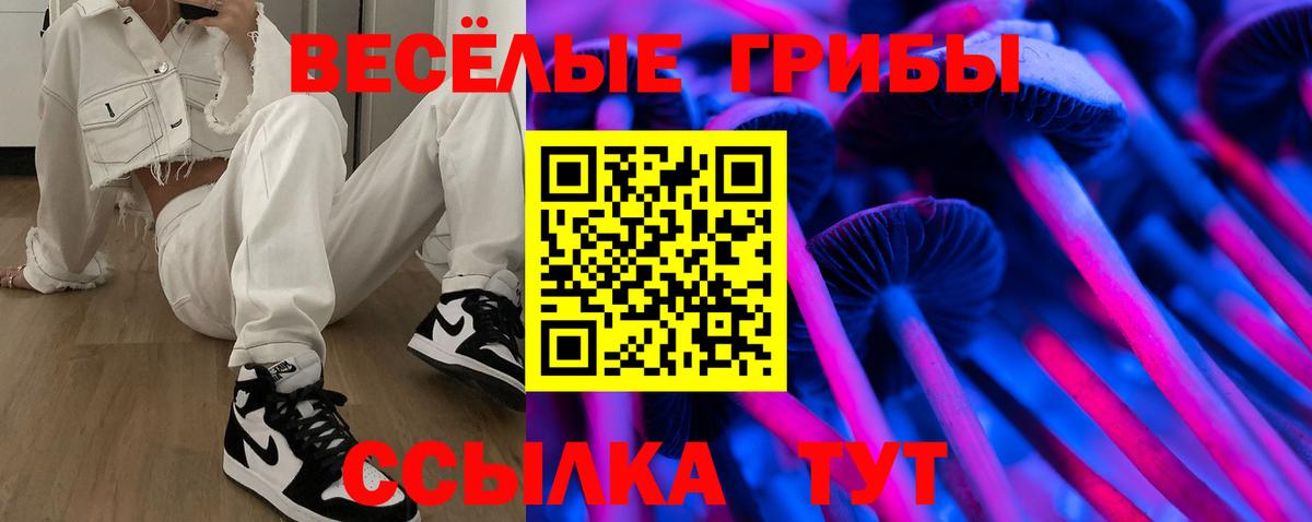 Псилоцибиновые грибы прущие грибы Жигулёвск