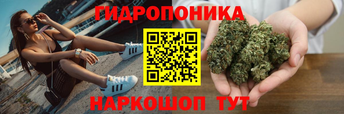 Конопля конопля Жигулёвск
